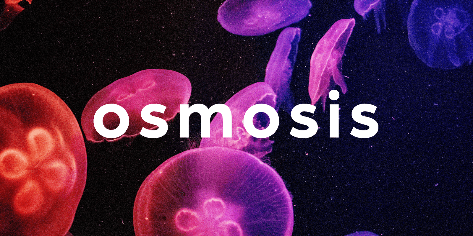 Zoomies osmosis banner | Deadhead Chemist Canada