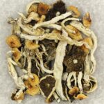 Cuban | Deadhead Chemist Canada