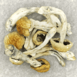 Chitwan Nepal | Deadhead Chemist Canada