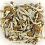 Florida White | Deadhead Chemist Canada