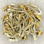 Hautla | Deadhead Chemist Canada