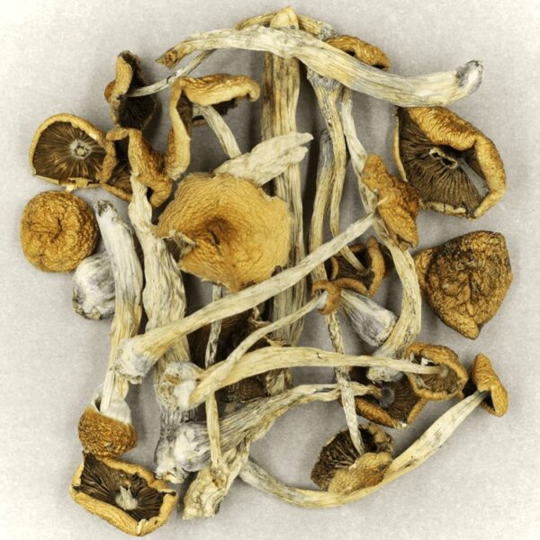 Mazatapec | Deadhead Chemist Canada