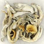 Treasure Coast | Deadhead Chemist Canada