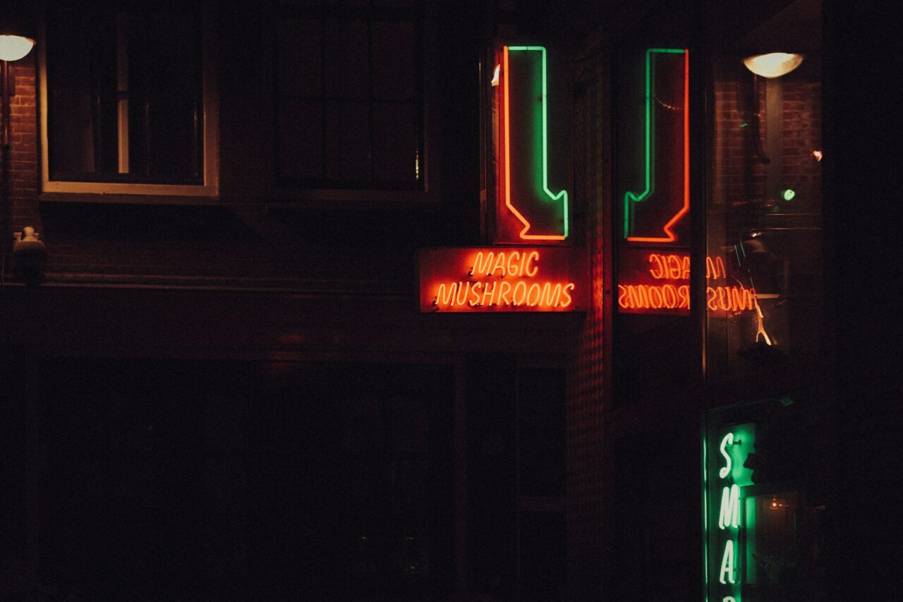 Vancouver Mushroom Dispensary – How is Canada Closing the Gap with the US in the Mushroom Boom?